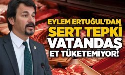 Eylem Ertuğul'dan sert tepki: Vatandaş et tüketemiyor!