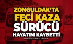 Zonguldak'ta feci kaza: Sürücü hayatını kaybetti