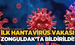 Hantavirüs ilk kez Zonguldak'ta görüldü!