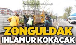 Zonguldak ıhlamur kokacak