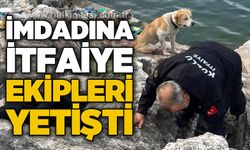 İmdadına itfaiye ekipleri yetişti!