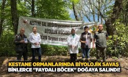 Kestane ormanlarında biyolojik savaş: Çaycuma’da binlerce "faydalı böcek" doğaya salındı!