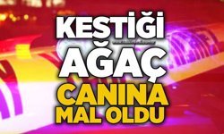 Kestiği ağaç canına mal oldu