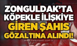 Zonguldak'ta köpekle ilişkiye girdiği iddia edilen şahıs gözaltına alındı!