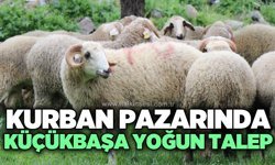 Kurbanlıkta küçükbaşa talep arttı