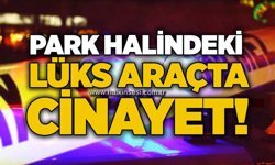 Park halindeki lüks araçta cinayet!