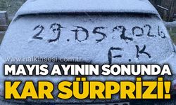 Mayıs ayının sonunda kar sürprizi