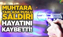 Muhtara tarlada puslu saldırı: Hayatını kaybetti!