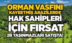 Orman vasfını kaybetmiş arazilerde hak sahipleri için fırsat: 2B taşınmazları satışta!