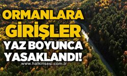 Ormanlara girişler  yaz boyunca yasaklandı!