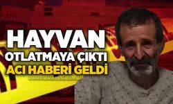 Hayvan otlatmaya çıktı, acı haberi geldi