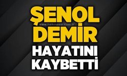 Şenol Demir hayatını kaybetti