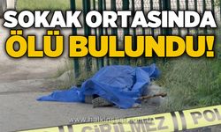 Salim Ömeroğlu Soğuksu'da ölü halde bulundu