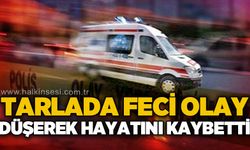 Tarlada feci olay: Rukiye Girdi dengesini kaybetmesi sonucu yaşamını yitirdi