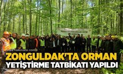 Zonguldak'ta orman yetiştirme tatbikatı yapıldı