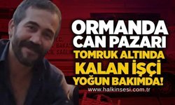 Ormanda can pazarı: Tomruk altında kalan işçi yoğun bakımda!