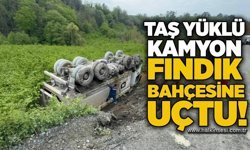 Taş yüklü kamyon fındık bahçesine uçtu!