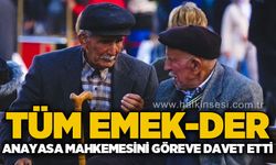 Tüm Emek-Der'den anayasa mahkemesine çağrı!