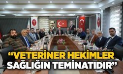 “Veteriner hekimler sağlığın teminatıdır”