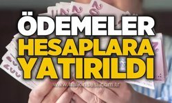 Bakanlık ödemeleri yatırmaya başladı