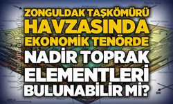 Zonguldak Taşkömürü havzasında ekonomik tenörde nadir toprak elementleri bulanabilir mi?