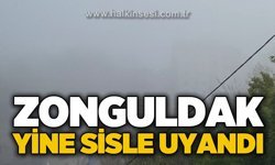 Zonguldak güne yine sisle uyandı