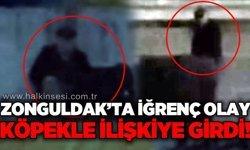 Zonguldak'ta sokak köpeğine c*nsel istismar iddiası: Hayvanseverler şikayetçi olacak!