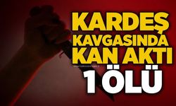 Kardeş kavgasında kan aktı: 1 ölü
