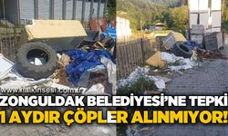 Zonguldak Belediyesi'ne tepki: 1 aydır çöpler alınmıyor!