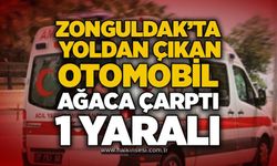Zonguldak’ta yoldan çıkan otomobil ağaca çarptı: 1 yaralı