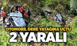Otomobil dere yatağına uçtu: 2 yaralı