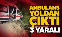 Ambulans yoldan çıktı: 3 yaralı