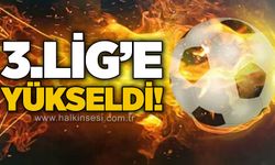 3. Lig'e yükseldi!