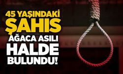 45 yaşındaki şahıs ağaca asılı halde bulundu!