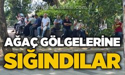 Ağaç gölgelerine sığındılar