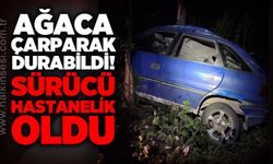 Kdz. Ereğli'de otomobil ağaca çarptı: Sürücü hastaneye kaldırıldı