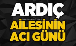 Ardıç ailesinin acı günü