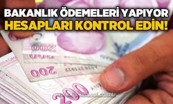Hesaplarınızı kontrol edin: Evde bakım destek ödemeleri hesaplara yatmaya başladı