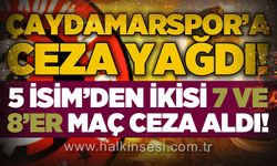 Çaydamarspor’a ceza yağdı.. 5 İsimden 2’si 7 ve 8'er maç ceza aldı!