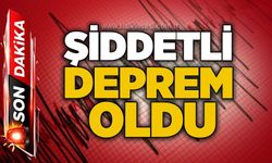 Şiddetli deprem oldu