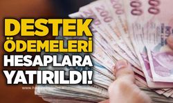 Destek ödemeleri hesaplara yatırıldı!