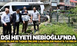 DSİ heyeti Nebioğlu'nda: Dere ıslahı ve taşkın önleme çalışmaları masaya yatırıldı