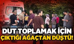Dut toplamak için çıktığı ağaçtan düştü!