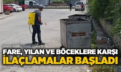 Fare, böcek ve yılanlara karşı ilaçlamalar başladı