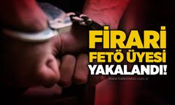 Firari FETÖ üyesi yakalandı!