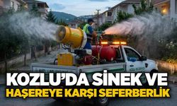 Kozlu’da sinek ve haşereye karşı seferberlik