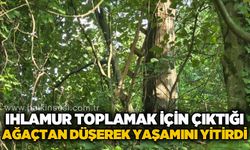 Ihlamur toplarken ağaçtan düşen adam hayatını kaybetti