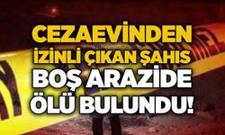Cezaevinden izinli çıkan şahıs boş arazide ölü bulundu!