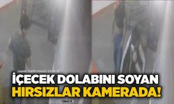İçecek dolabını soyan hırsızlar kamerada!
