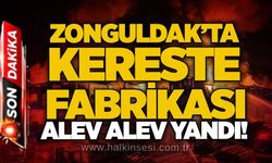 Zonguldak’ta kereste fabrikası alev alev yandı!